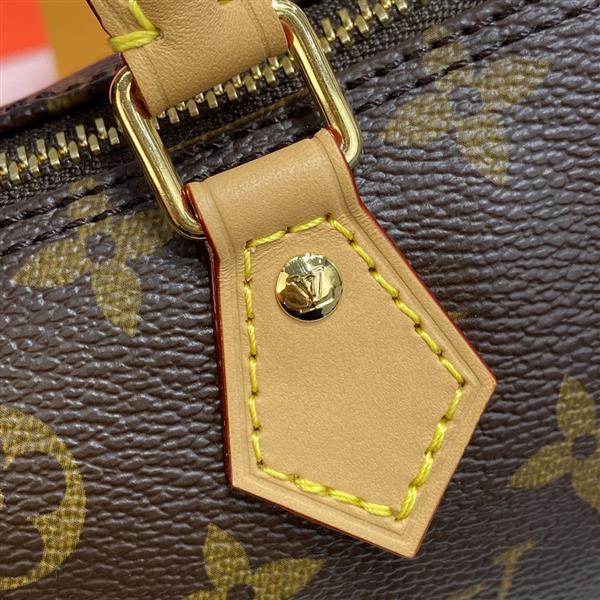 2026120163137355 810